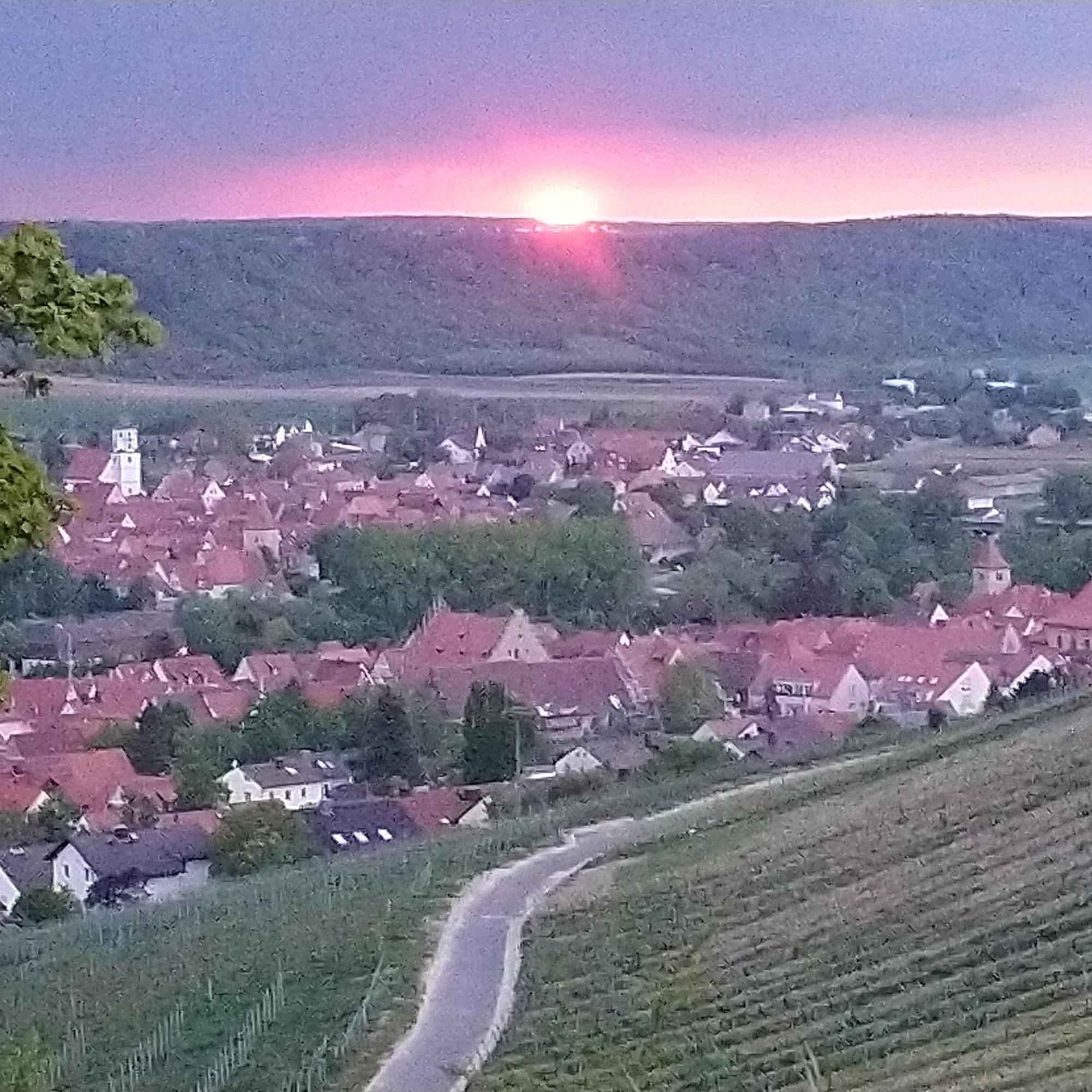 Kirschberghof Gaestehaus Und Weinverkauf Sommerhausen Eksteriør bilde